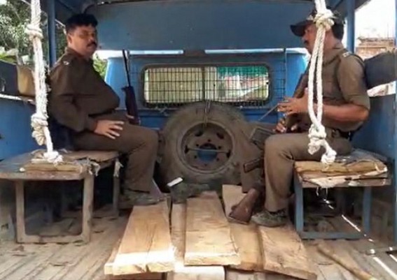 Illegally stored woods seized at Udaipur 