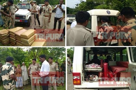 197 Kg Ganja seized from Silchar outbound Ambulance in Tripura : Another massive success under BSF, Police’s joint attempt 197 Kg Ganja seized from Silchar outbound Ambulance in Tripura : Another massive success under BSF, Police’s joint attempt