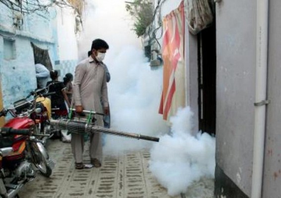 Dengue spreading fast in Peshawar villages