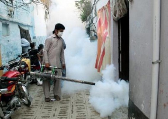 Dengue spreading fast in Peshawar villages Dengue spreading fast in Peshawar villages