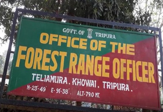 3 arrested while smuggling woods 3 arrested while smuggling woods