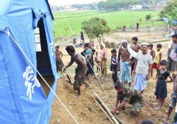 Rohingya villages in Myanmar destroyed: Report Rohingya villages in Myanmar destroyed: Report