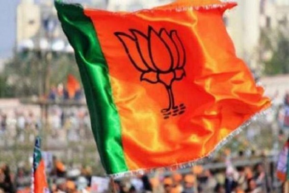BJP to launch mass contact campaign on Article 370 BJP to launch mass contact campaign on Article 370