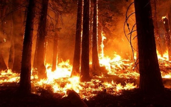 California continues to battle wildfires California continues to battle wildfires