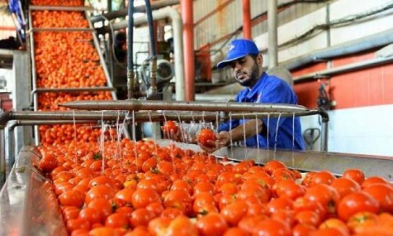 Onion, tomatoes, garlic stolen in Lucknow