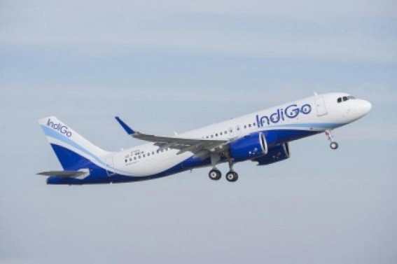 IndiGo places firm order for 300 A320neo family aircraft