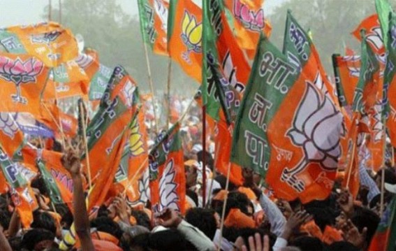 These 2 factors will decide BJP's Maha decision These 2 factors will decide BJP's Maha decision