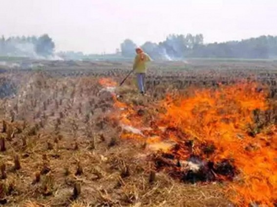 Stubble burning to abate as wheat sowing up in Punjab Stubble burning to abate as wheat sowing up in Punjab