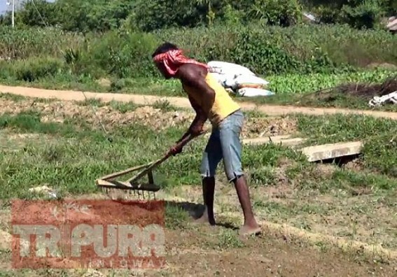 Farmers left devastated in Tripura, market prices of vegetables to soar higher