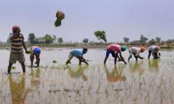 Officials asked to correct data of PM-KISAN scheme in UP Officials asked to correct data of PM-KISAN scheme in UP