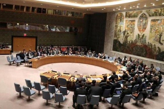Pakistan challenges India's UNSC candidature