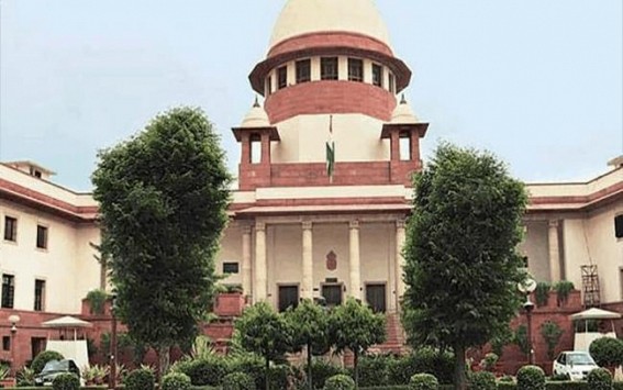 SC stays felling of trees on Mumbai's Metro Line 4 project SC stays felling of trees on Mumbai's Metro Line 4 project