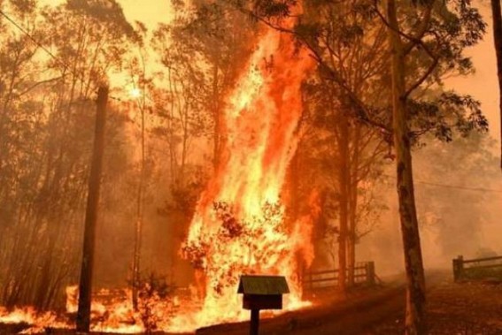 Mega bushfire near Sydney 'too big to put out'
