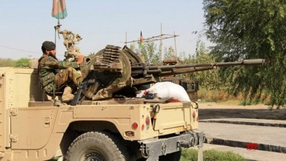 5 Taliban militants killed in Afghanistan