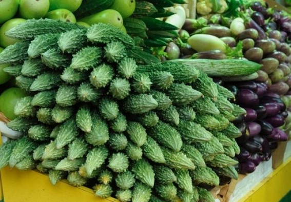 First trial shipment of vegetables send to Dubai
