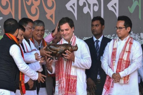 Assam can't be run from Nagpur: Rahul Assam can't be run from Nagpur: Rahul
