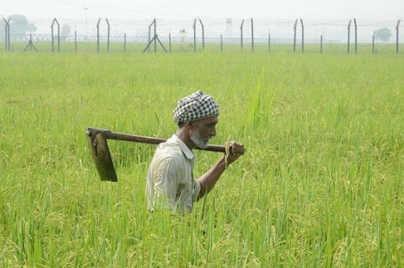 Tripura farmers demand compensation to losses