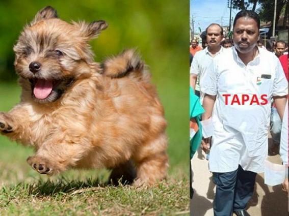 BJP MLA calls BJP leader ‘puppy’ before media, warns to beat him with shoes BJP MLA calls BJP leader ‘puppy’ before media, warns to beat him with shoes