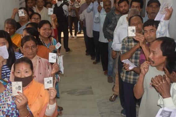 Voters must use C-Vigil app to stop Election rigging Voters must use C-Vigil app to stop Election rigging