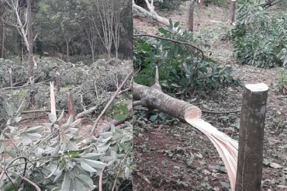 Tripura Post Poll tension : Massive property damage continues