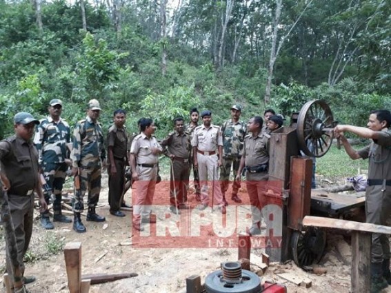 Forest Dept busted illegal logging at Udaipur Forest Dept busted illegal logging at Udaipur