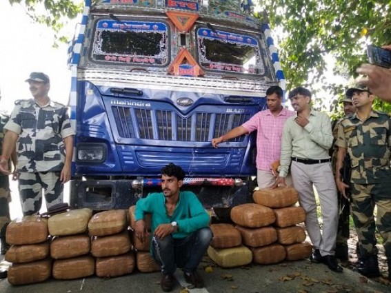 216 kg ganja seized at Panisagar, 1 arrested
