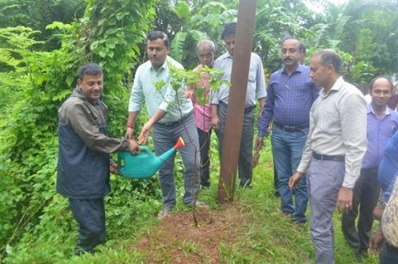 CM’s OSD celebrates Van Mahotsav in Agartala residence on his birthday CM’s OSD celebrates Van Mahotsav in Agartala residence on his birthday