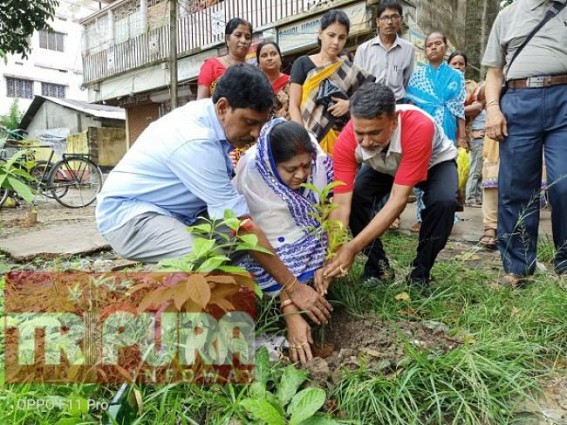 BJP, Congress leaders jointly planted trees