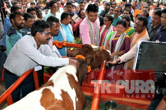 Tripura Govt targets Rs. 1100 crores of profit from milk industry per year