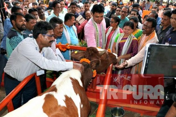 Tripura Govt targets Rs. 1100 crores of profit from milk industry per year Tripura Govt targets Rs. 1100 crores of profit from milk industry per year