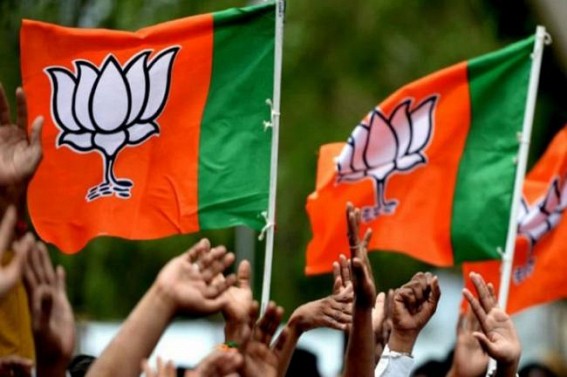 BJP to fight Delhi polls on Illegal Colonies & Violence