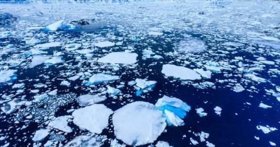 Global warming behind river ice cover loss: Study Global warming behind river ice cover loss: Study