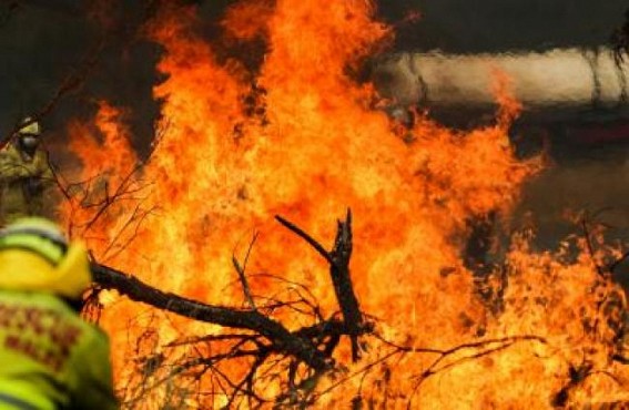 Blazes 'all contained' in Australia state Blazes 'all contained' in Australia state