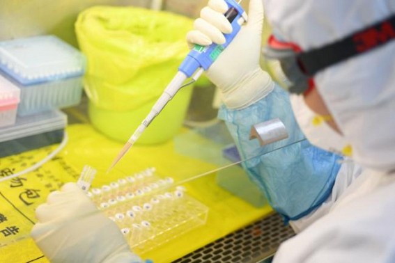 Egypt confirms coronavirus case, 1st in Africa