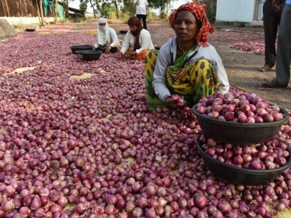 Onions export ban to be lifted from March 15: Centre Onions export ban to be lifted from March 15: Centre