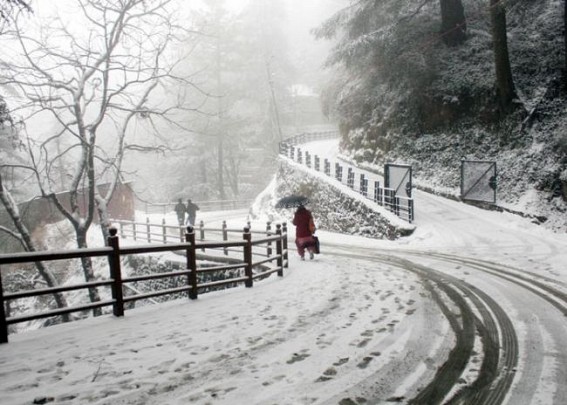 Shimla, Manali under snow cover again Shimla, Manali under snow cover again