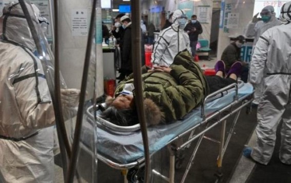 Hantavirus kills a man in China, people frantic on social media