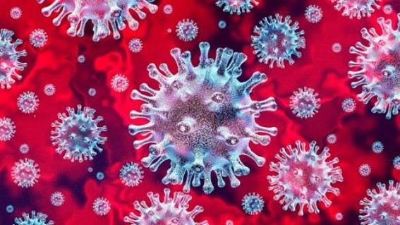 Scientists identify 8 strains of coronavirus Scientists identify 8 strains of coronavirus
