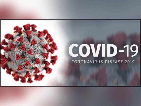 Overnight tests detect 15 new cases in AP, COVID-19 tally 329