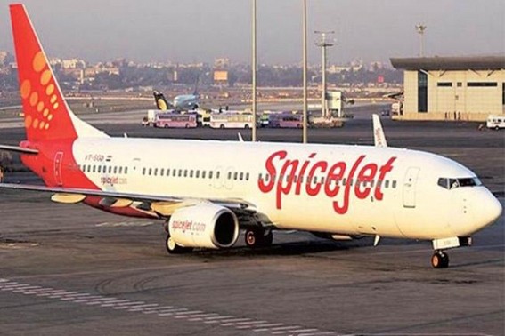 SpiceJet plane brings back medical supplies from Singapore SpiceJet plane brings back medical supplies from Singapore