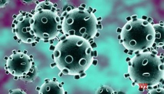 Tata Group donates 40,032 PCR coronavirus test kits to TN Tata Group donates 40,032 PCR coronavirus test kits to TN