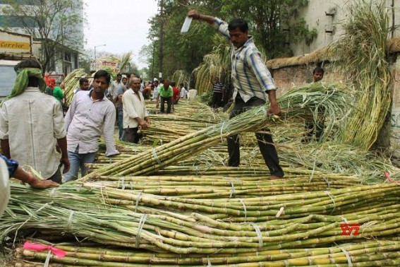 Yogi govt to give sugar to cane growers in lieu of dues Yogi govt to give sugar to cane growers in lieu of dues