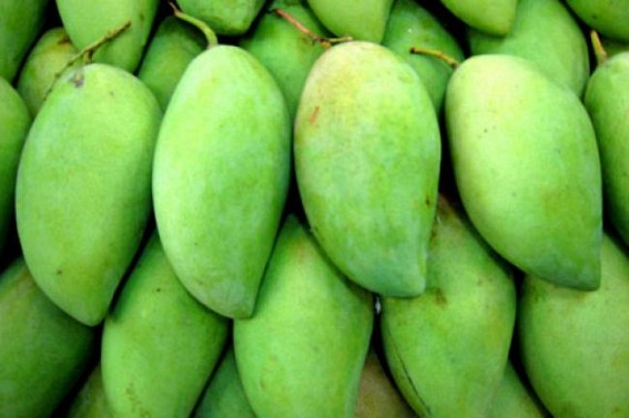 Mango farmers in Andhra, Telangana stare at losses