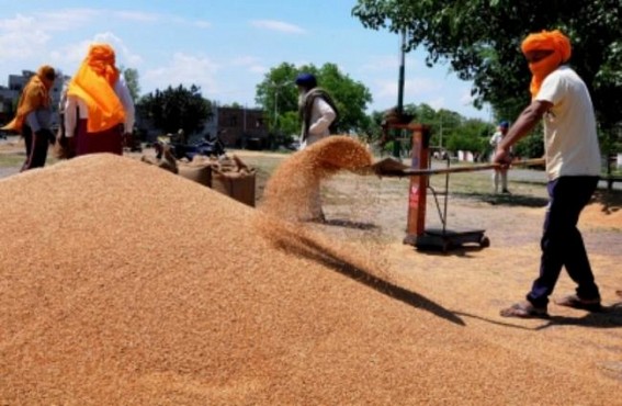 Govt agencies bought over 88 LMT of wheat from farmers till April 26