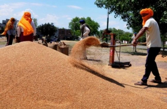 Govt agencies bought over 88 LMT of wheat from farmers till April 26 Govt agencies bought over 88 LMT of wheat from farmers till April 26