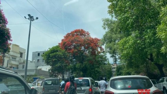 Lockdown 3.0: More cars on roads, queues at borders Lockdown 3.0: More cars on roads, queues at borders