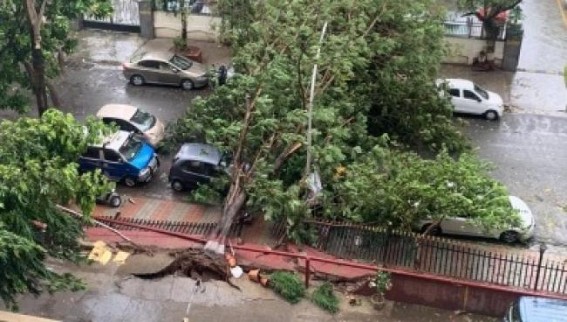 M'rashtra cyclone kills 6, Raigad bears the brunt