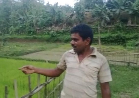 Panisagar : Farmers demand solution to Water Crisis problem for Cultivation Panisagar : Farmers demand solution to Water Crisis problem for Cultivation