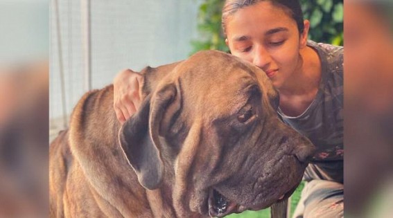 Alia Bhatt poses with Ranbir's pet dog Alia Bhatt poses with Ranbir's pet dog