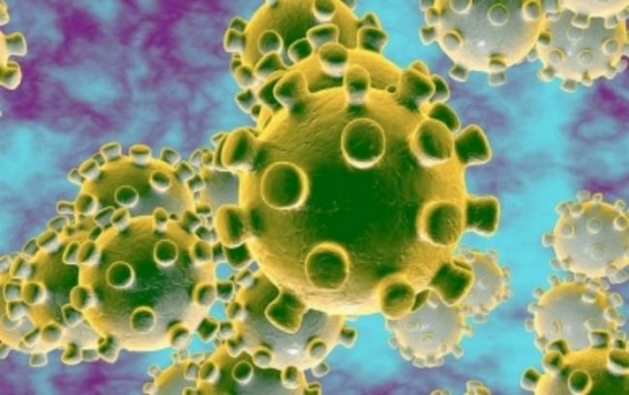 Covid-19: A tale of two mighty cities in India amid the pandemic Covid-19: A tale of two mighty cities in India amid the pandemic